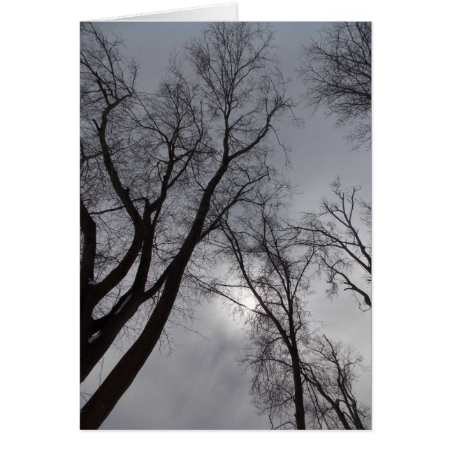 Solitude d'hiver (Devant)