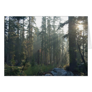 Solitude ensoleillée