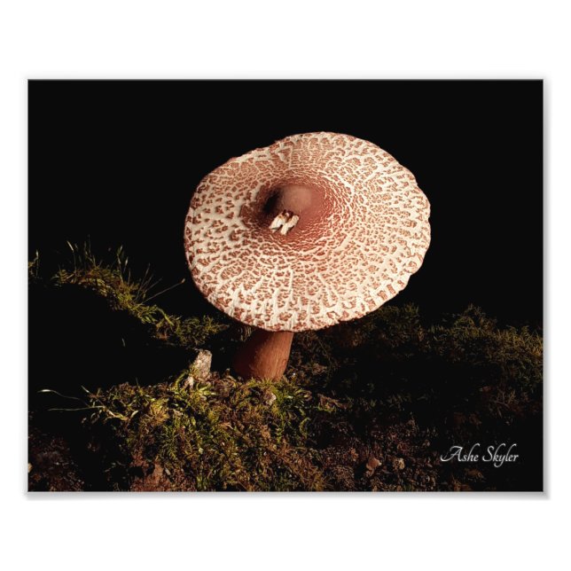 Solitude Photo Print (Front)