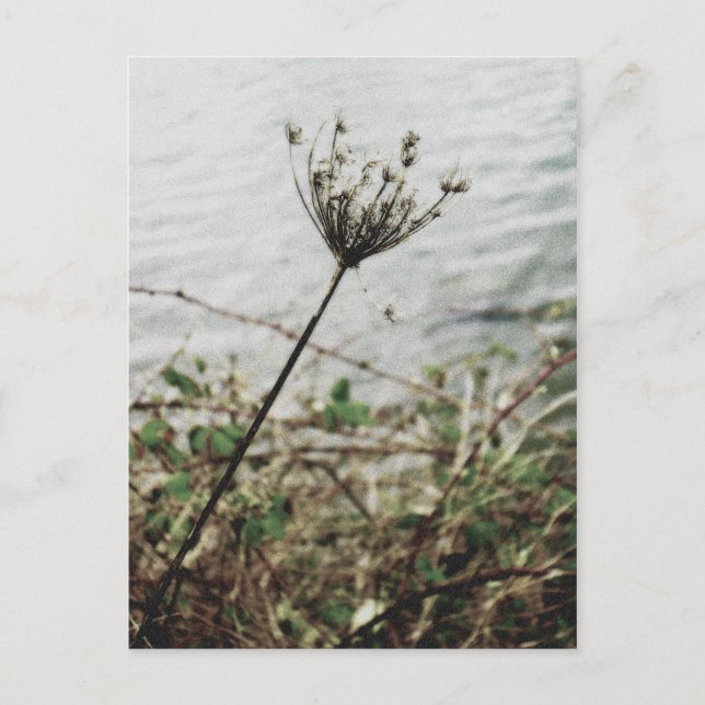 solitude postcard (Front)