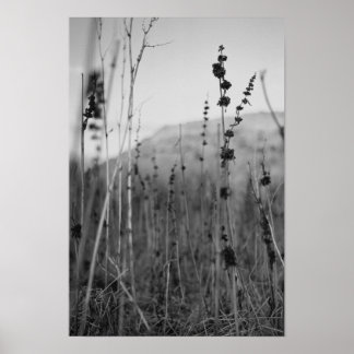 solitude poster