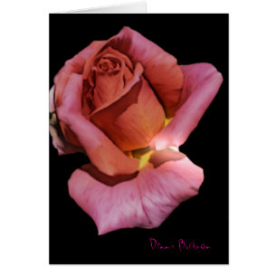 Solitude Rose