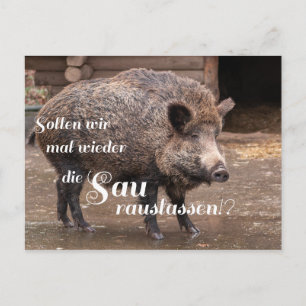 Sollen wir mal wieder die Sau rauslassen?!? Postcard