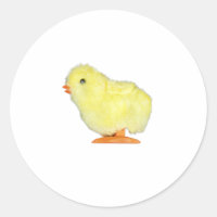Solo Chick on Transparent