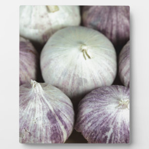 Solo Garlic Plaque