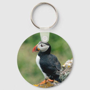 Solo Puffin Keychain