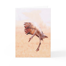 Solo Sandhill Crane Cards