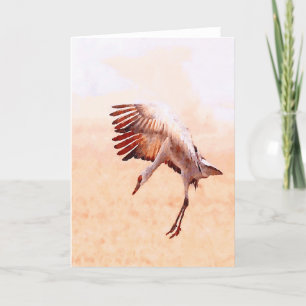 Solo Sandhill Crane Cards
