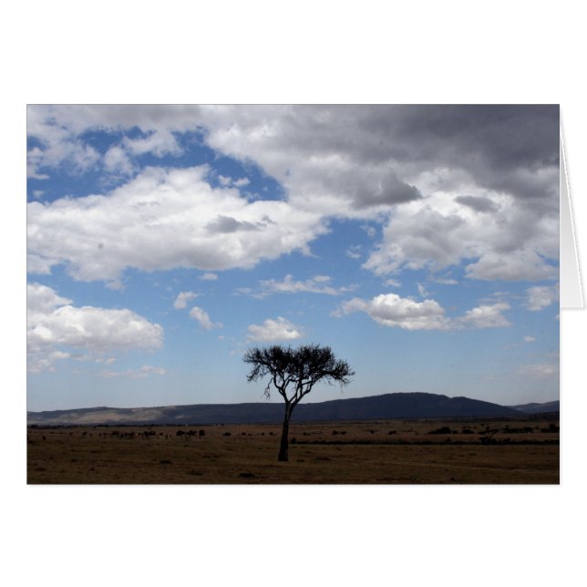 solo tree (Front Horizontal)