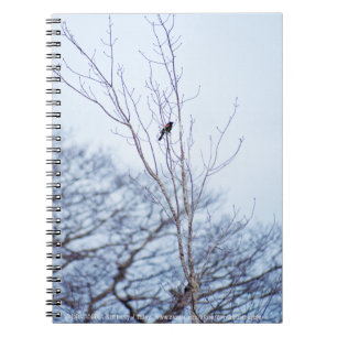 Soloist Notebook
