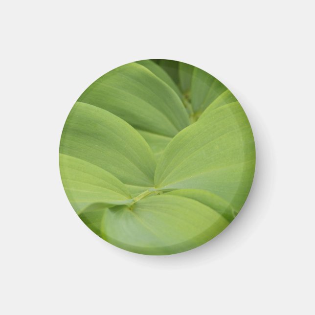 Solomons Seal Magnet (Front)