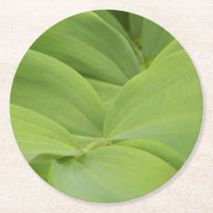 Solomons Seal Round Paper Coaster