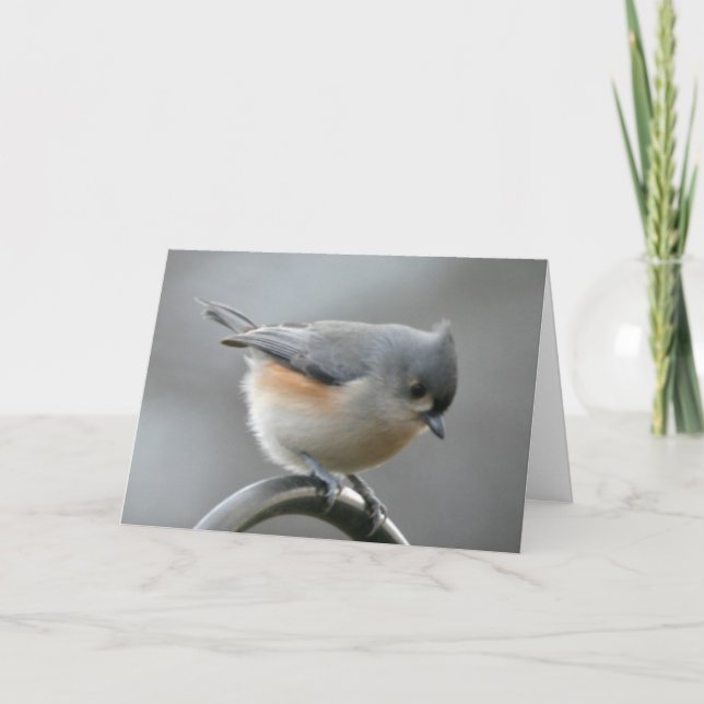 Solstice Card (Front)