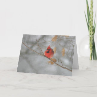 Solstice Card