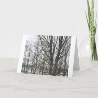 Solstice Card