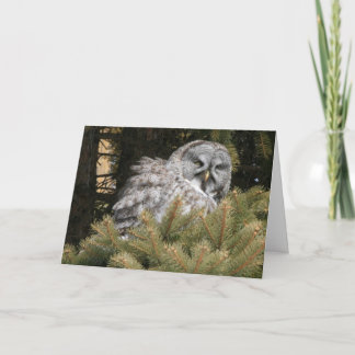 Solstice Card with Great Grey Owl
