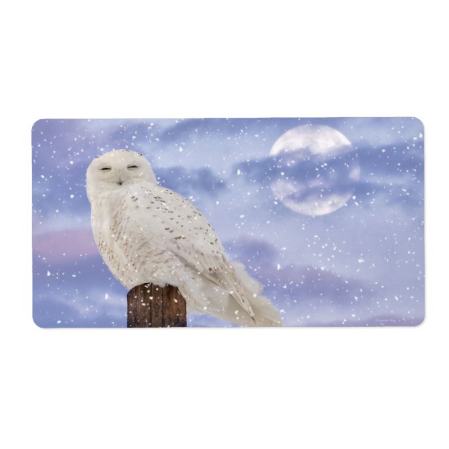 Solstice d'hiver (Devant)