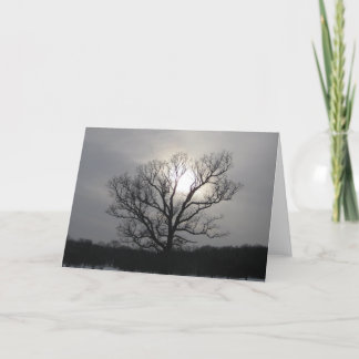 Solstice Sun I Card
