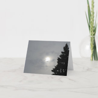 Solstice Sun II Blank (Add Your Message Inside) Ca Card