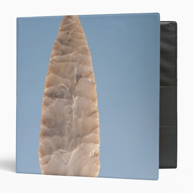 Solutrean 'laurel leaf' blade, found at Volgu, Binder (Front/Inside)