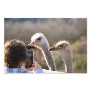 Solvang, CA Photo Print