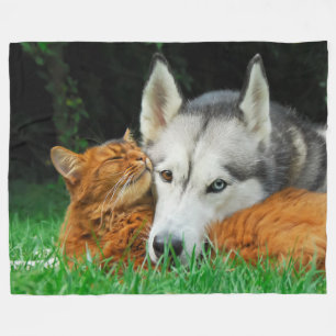 Somali cat and Siberian Husky cute friends huddle Fleece Blanket