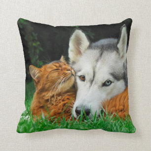 Somali cat and Siberian Husky cute friends huddle Throw Pillow
