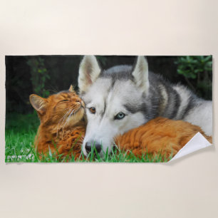 Somali Cat Siberian Husky Cute Friends Huddle Love Beach Towel