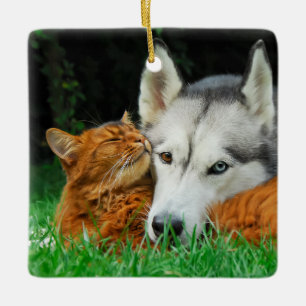 Somali Cat Siberian Husky Cute Friends Huddle Love Ceramic Ornament