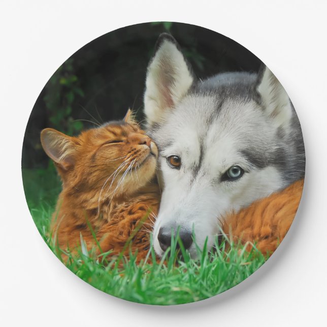 Somali Cat Siberian Husky Cute Friends Huddle Love Paper Plate (Front)