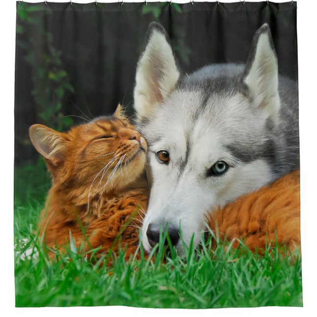 Somali cat Siberian Husky cute friends huddle -Tub (Front)