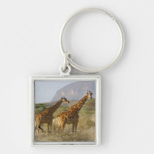 Somali Giraffe, Reticulated Giraffe, Giraffa Keychain
