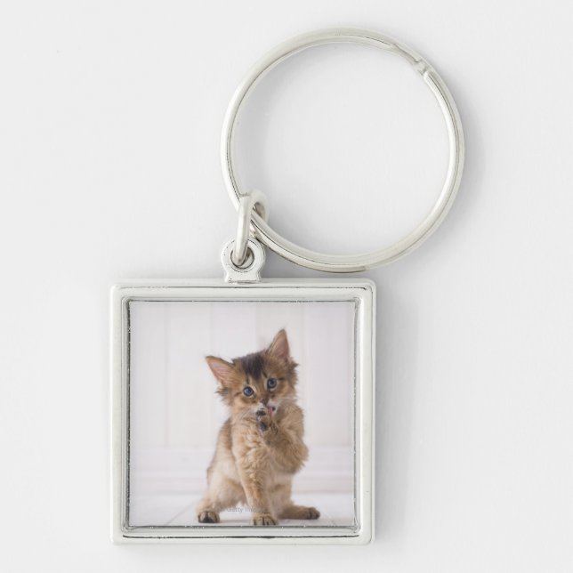 Somali Licking Forefoot Keychain (Front)