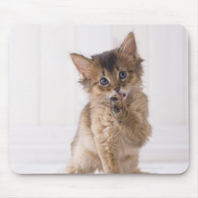 Somali Licking Forefoot Mouse Pad (Front)