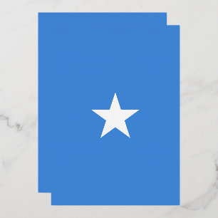 Somalia flag
