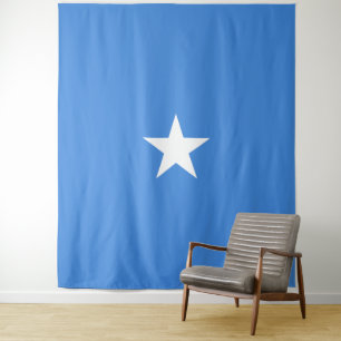 Somalia Flag Tapestry