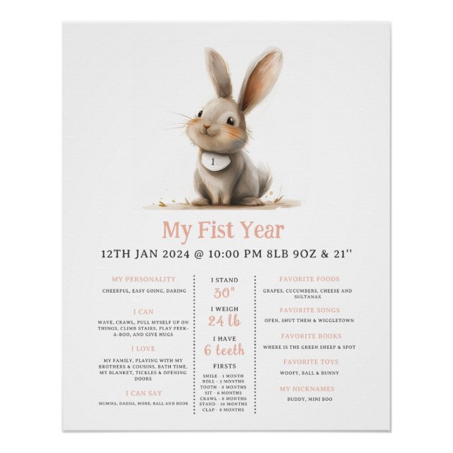 Some Bunny Girls First Bday Milestone Poster (Front)