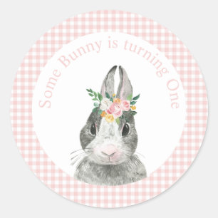 Some Bunny is One Bunny Pink Gingham Birthday Classic Round Sticker