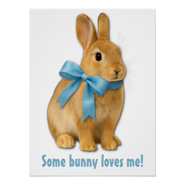 Some bunny loves me! poster (Front)
