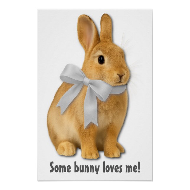 Some bunny loves me! poster (Front)