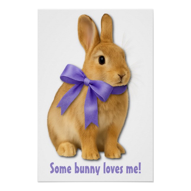 Some bunny loves me! poster (Front)