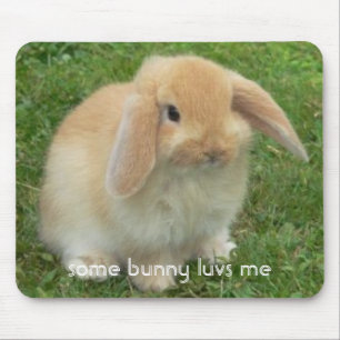 some bunny luvs me mouse pad