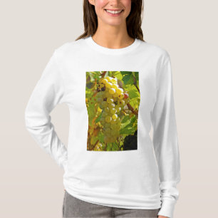 Some Chasselas in the vineyard - planted long T-Shirt