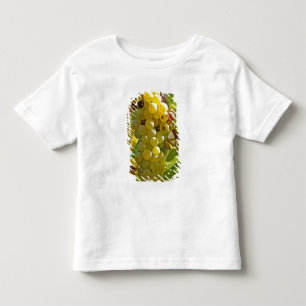 Some Chasselas in the vineyard - planted long Toddler T-shirt