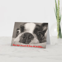 Some days are just all fleas and no kibble