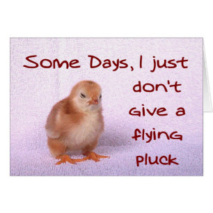 Some Days, I just don't give a flying pluck.