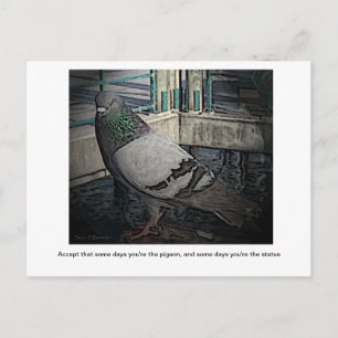 Some Days You're the Pigeon Postcard
