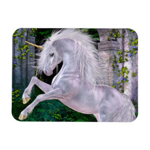 Some Enchanted Evening Flexi Magnet