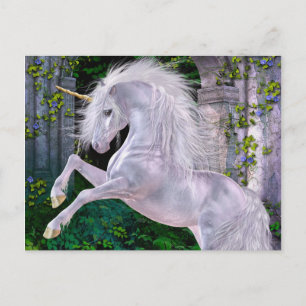 Some Enchanted Evening Postcard