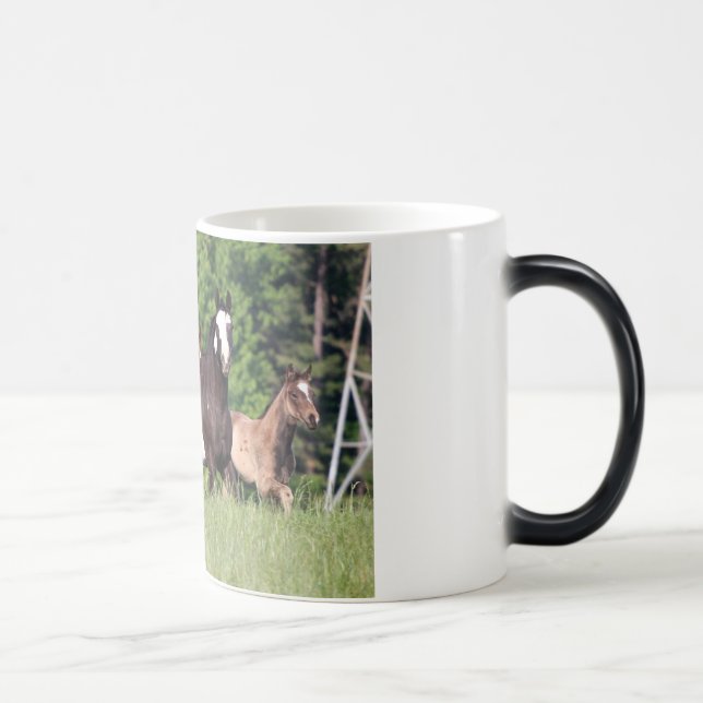 Some Horses In Green Grass Magic Mug (Right)